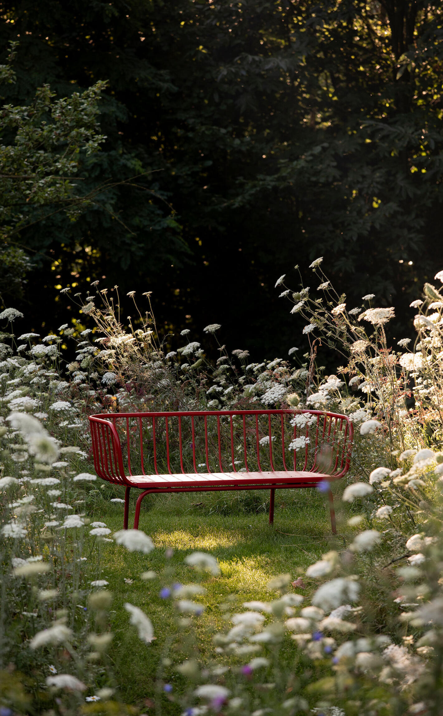 Greenarchitects stefaan willems landschapsarchitect oosterzele Biodiverse tuin met bloemenweide en grasland