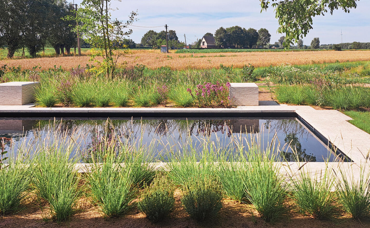 Greenarchitects stefaan willems landschapsarchitect biozwembad in de tuin bio zwembad onderhoud