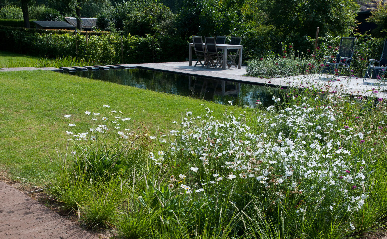 Greenarchitects stefaan willems landschapsarchitect laarne Ecologische tuin met biologische zwemvijver