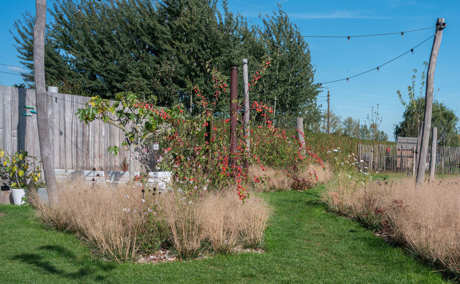 Greenarchitects stefaan willems landschapsarchitectuur overschelde oost vlaanderen serskamp realisatie landschapstuin grassen bloemen deschampsia goldtau