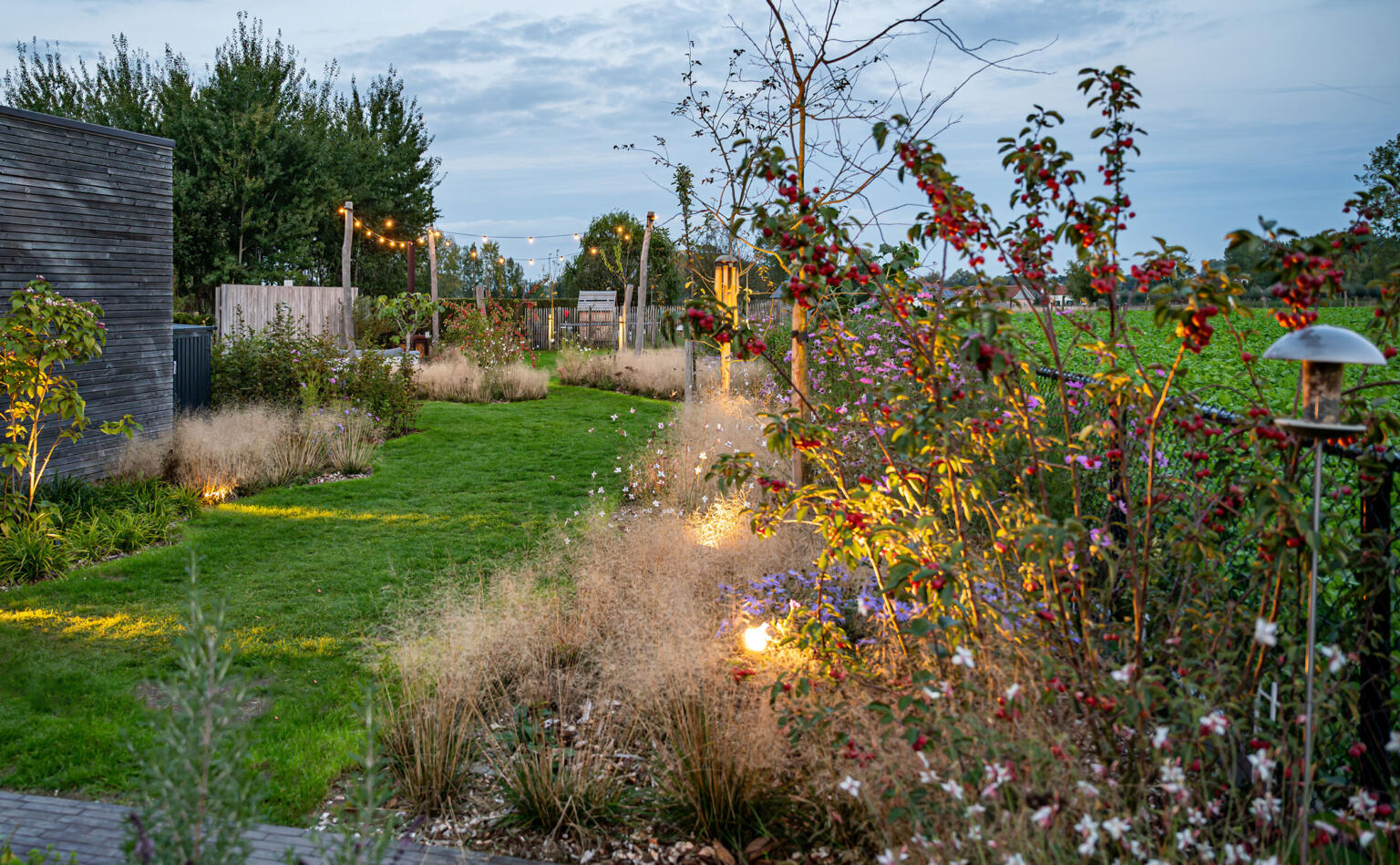 Greenarchitects stefaan willems tuinarchitectuur overschelde oost vlaanderen serskamp realisatie verlichting avondbeeld grassen bloemen guirlande