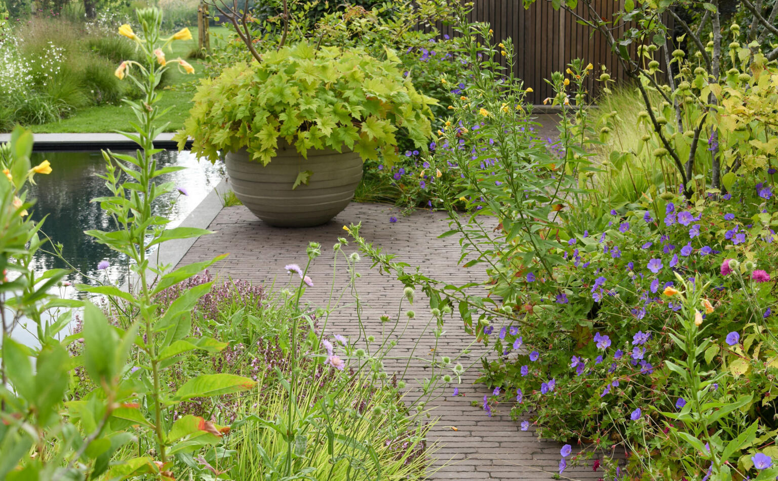 Greenarchitects stefaan willems landschapsarchitect laarne gent natuurlijke eetbare tuin met biozwembad en pot Atelier vierkant 1