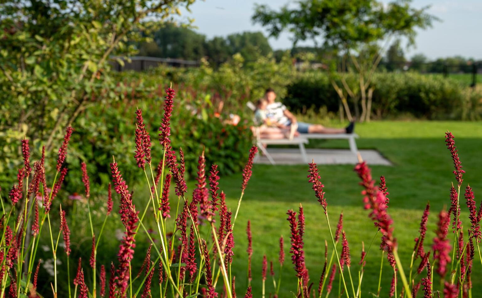 Greenarchitects stefaan willems tuinarchitect wachtebeke polybeton ligzetel persicaria 01