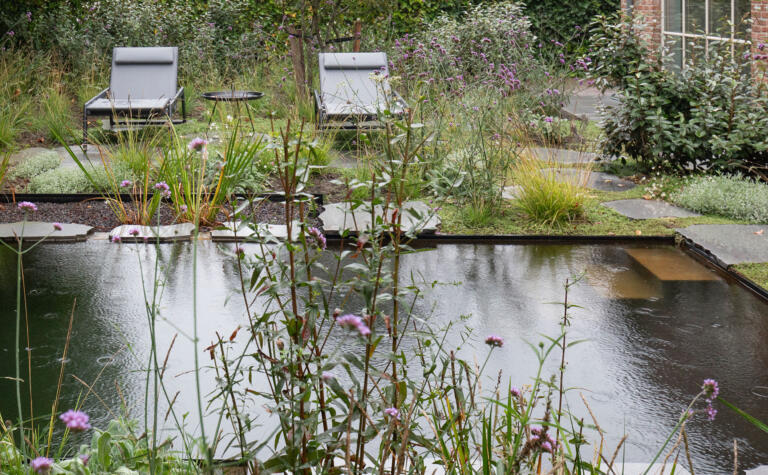 Greenarchitects stefaan willems landschapsarchitect zwemvijver ontwerpen stadstuin met stapstenen