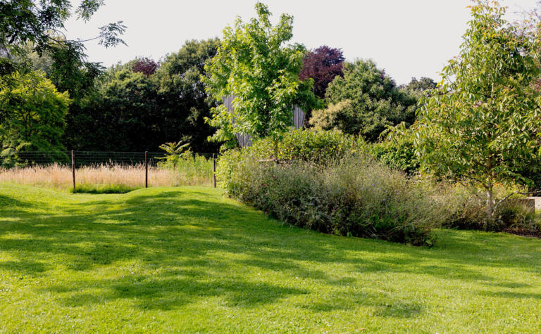 Greenarchitects stefaan willems tuinarchitect natuurlijke biodiverse tuin met gazon laarne wetteren