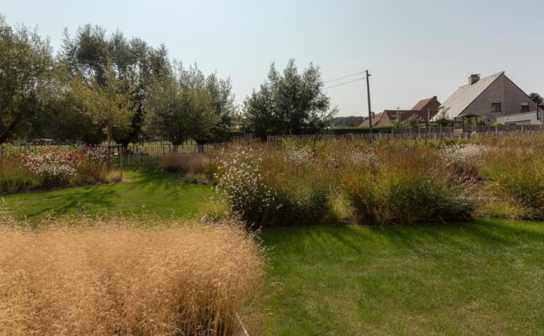 Greenarchitects stefaan willems landschapsarchitect ninove aluminium boord kastanje afsluiting hoogstam boom knotboom salix gaura sesleria molinia deschampsia insectenlokkend 01