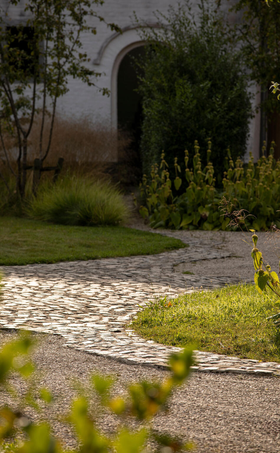 Greenarchitects stefaan willems landschapsarchitect afsnee kasseienpad met phlomis en siergrassen