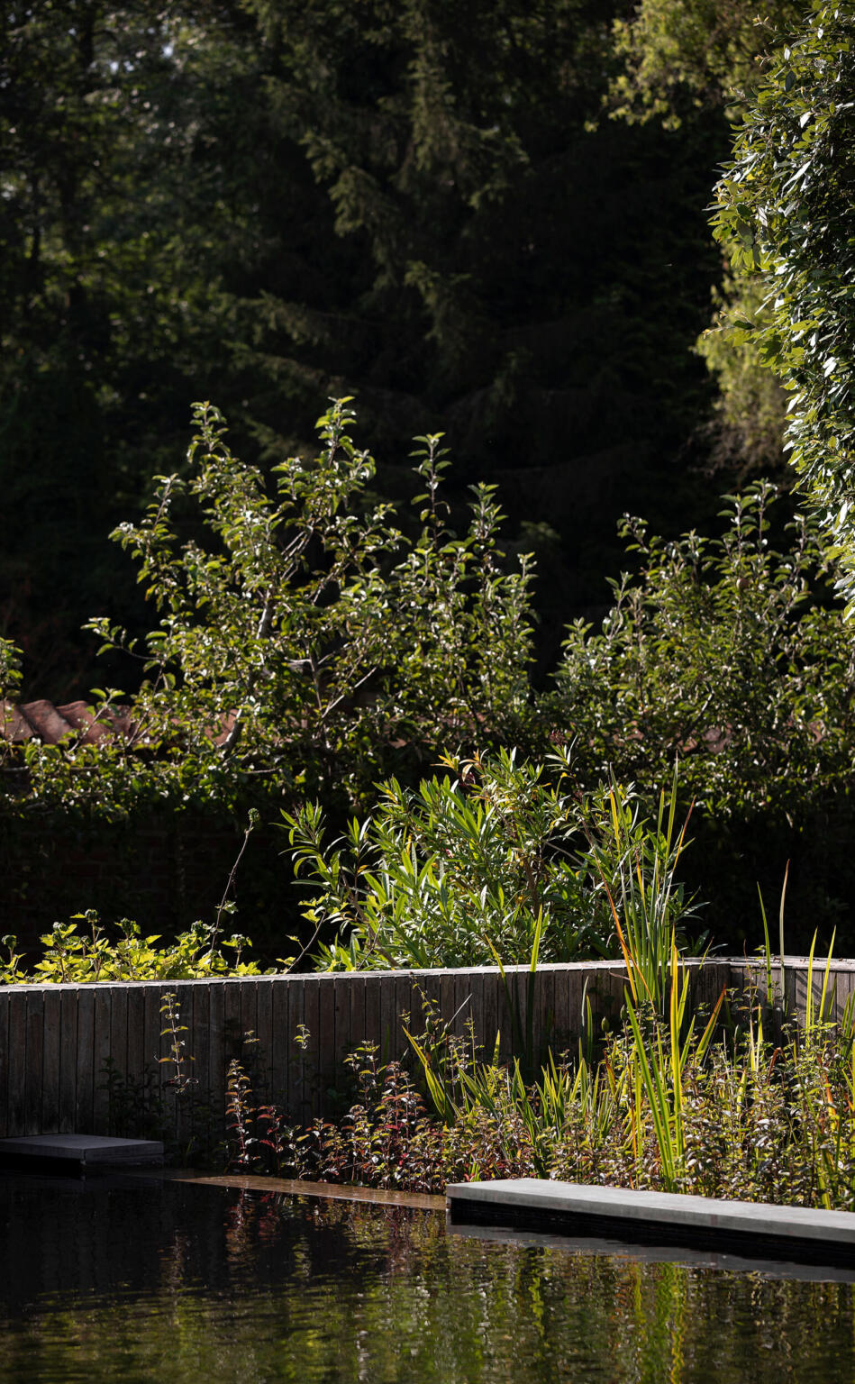 Greenarchitects stefaan willems landschapsarchitect afsnee zwemvijver met waterplanten en heliofytenfilter leifruit biodiverse tuin