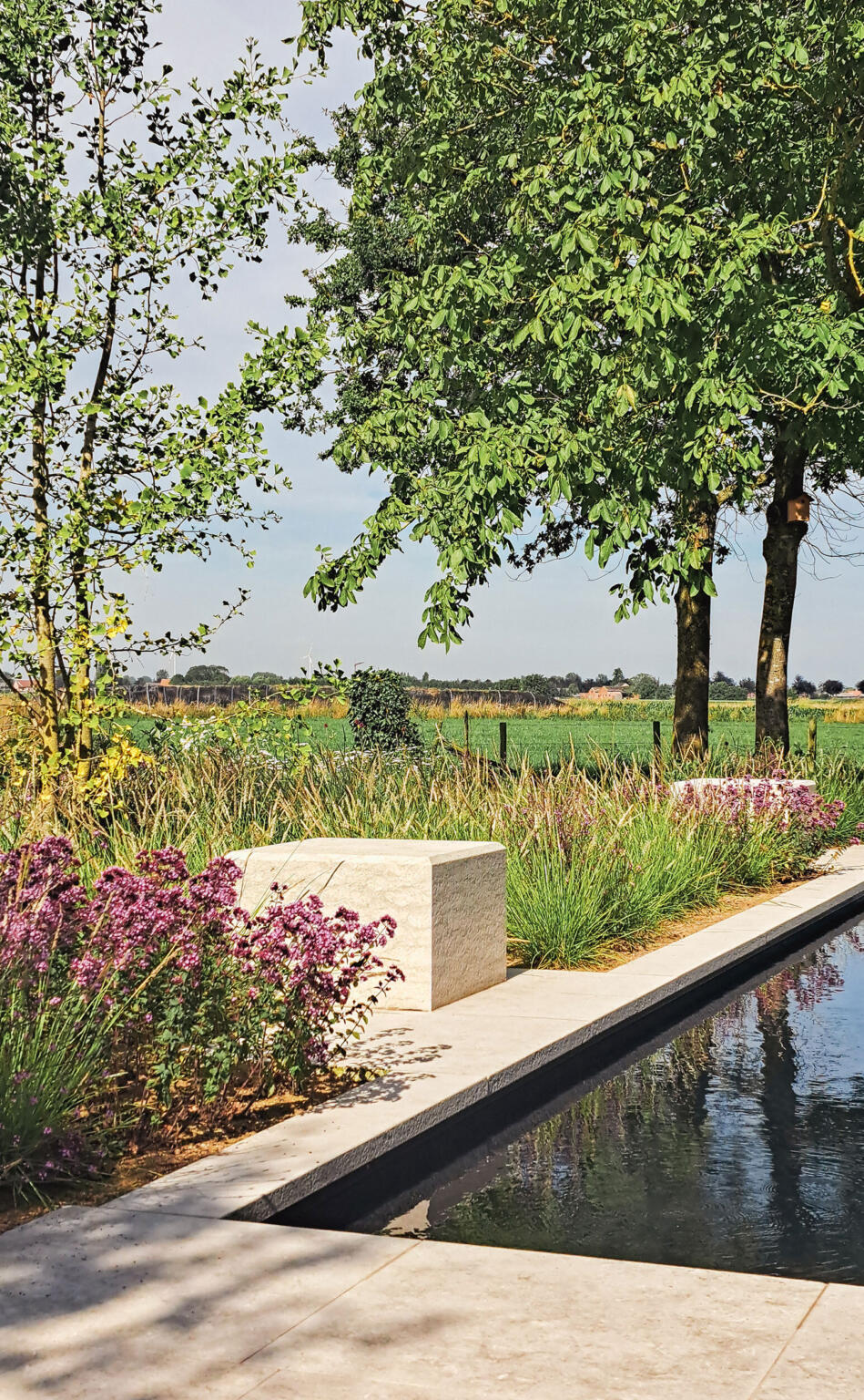 Greenarchitects stefaan willems landschapsarchitect biozwembad voordelen landschappelijke omgeving tuin