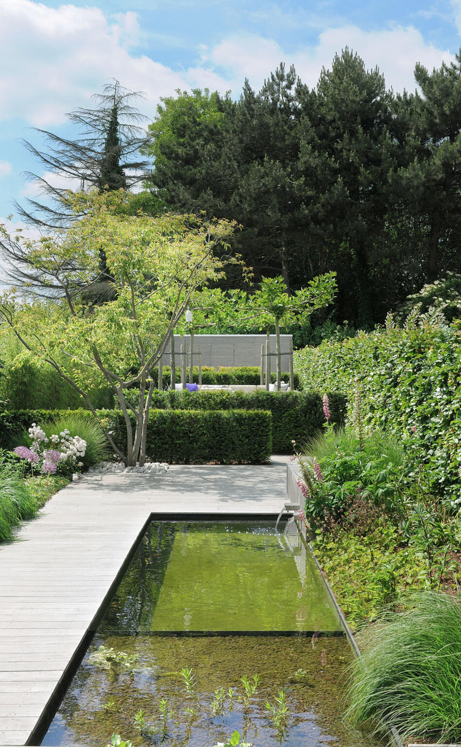 Greenarchitects stefaan willems landschapsarchitect merelbeke moderne tuin met vijver en meerstammige boom