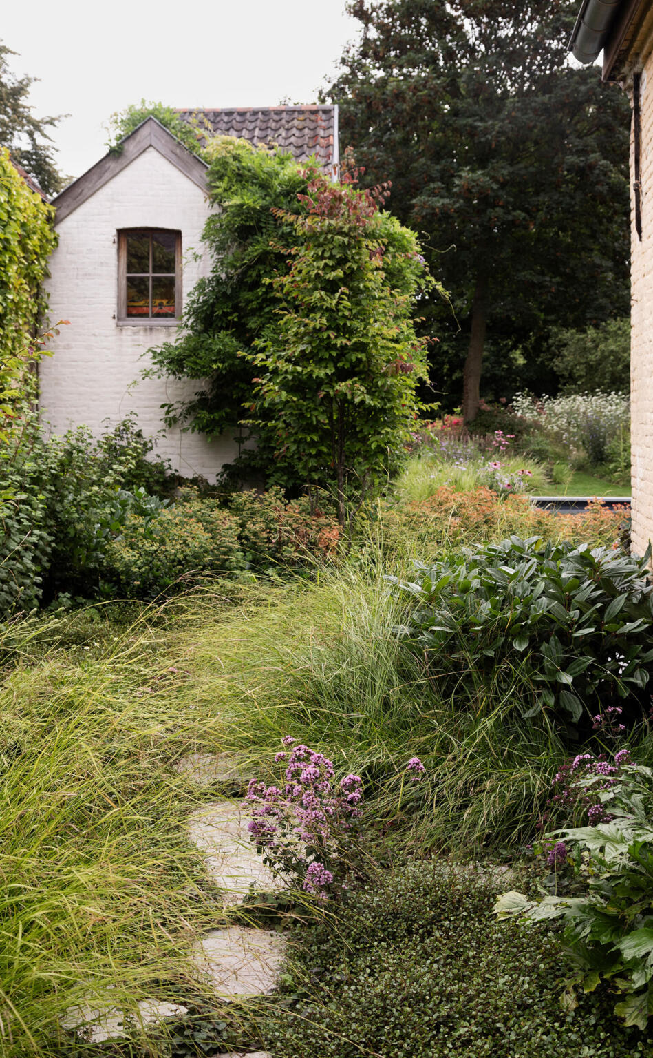 Greenarchitects stefaan willems landschapsarchitect oosterzele Landschappelijke tuin met stapstenen en klimplanten