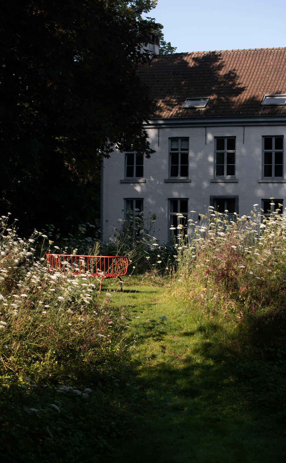 Greenarchitects stefaan willems landschapsarchitect oosterzele Tuinontwerp met natuurlijke bloemenweide