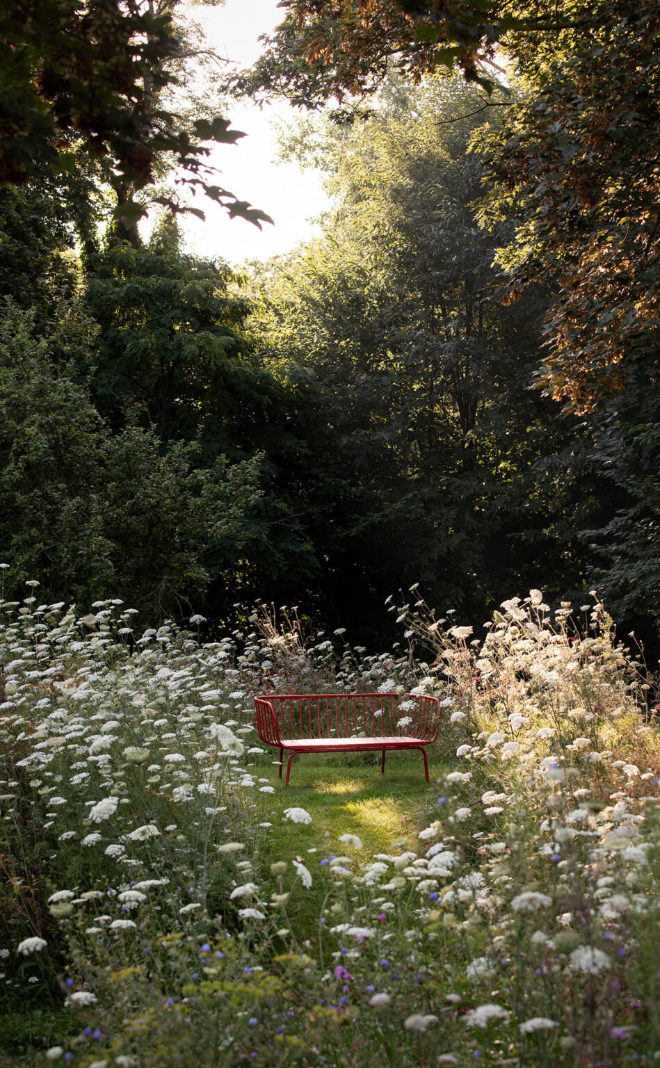 Greenarchitects stefaan willems landschapsarchitect oosterzele Wilde tuin met bloeirijk grasland