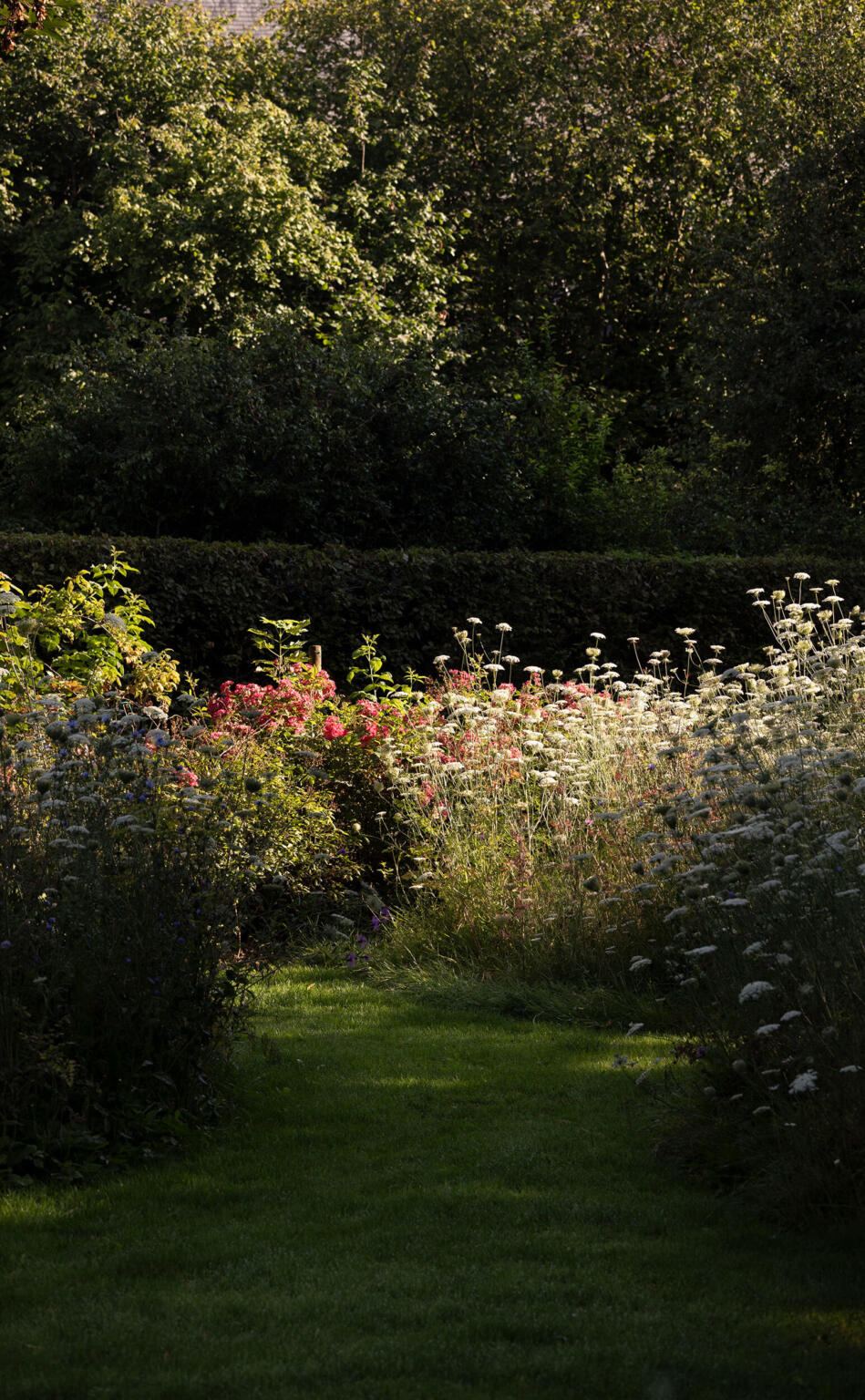 Greenarchitects stefaan willems landschapsarchitect oosterzele Wilde tuin met bloemenweide en vlinders