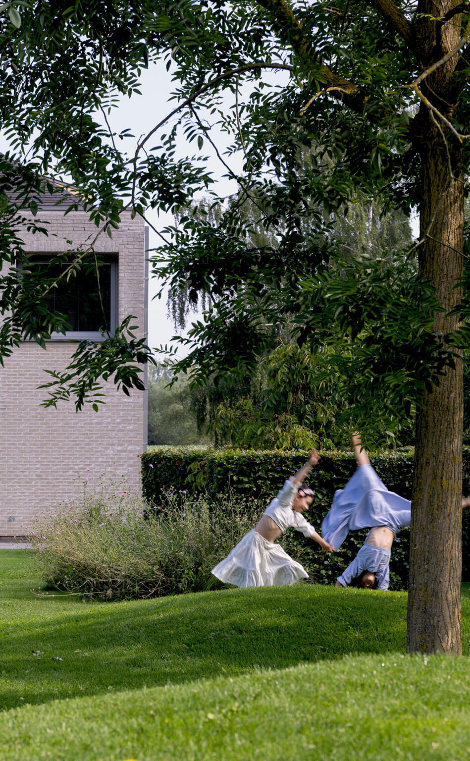 Greenarchitects stefaan willems tuinarchitect natuurlijke biodiverse tuin met sophora japonica laarne