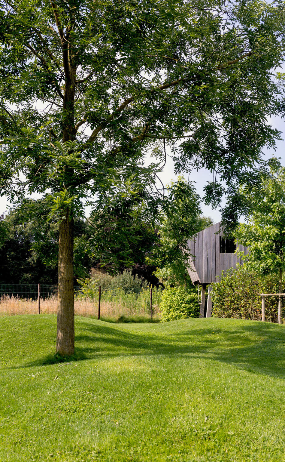 Greenarchitects stefaan willems tuinarchitect natuurlijke biodiverse tuin met sophora japonica