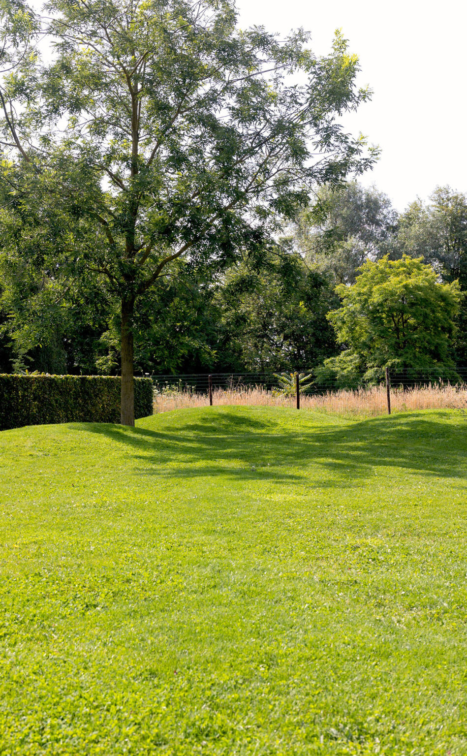 Greenarchitects stefaan willems tuinarchitect natuurlijke biodiverse tuin met speelheuvels en sophora laarne