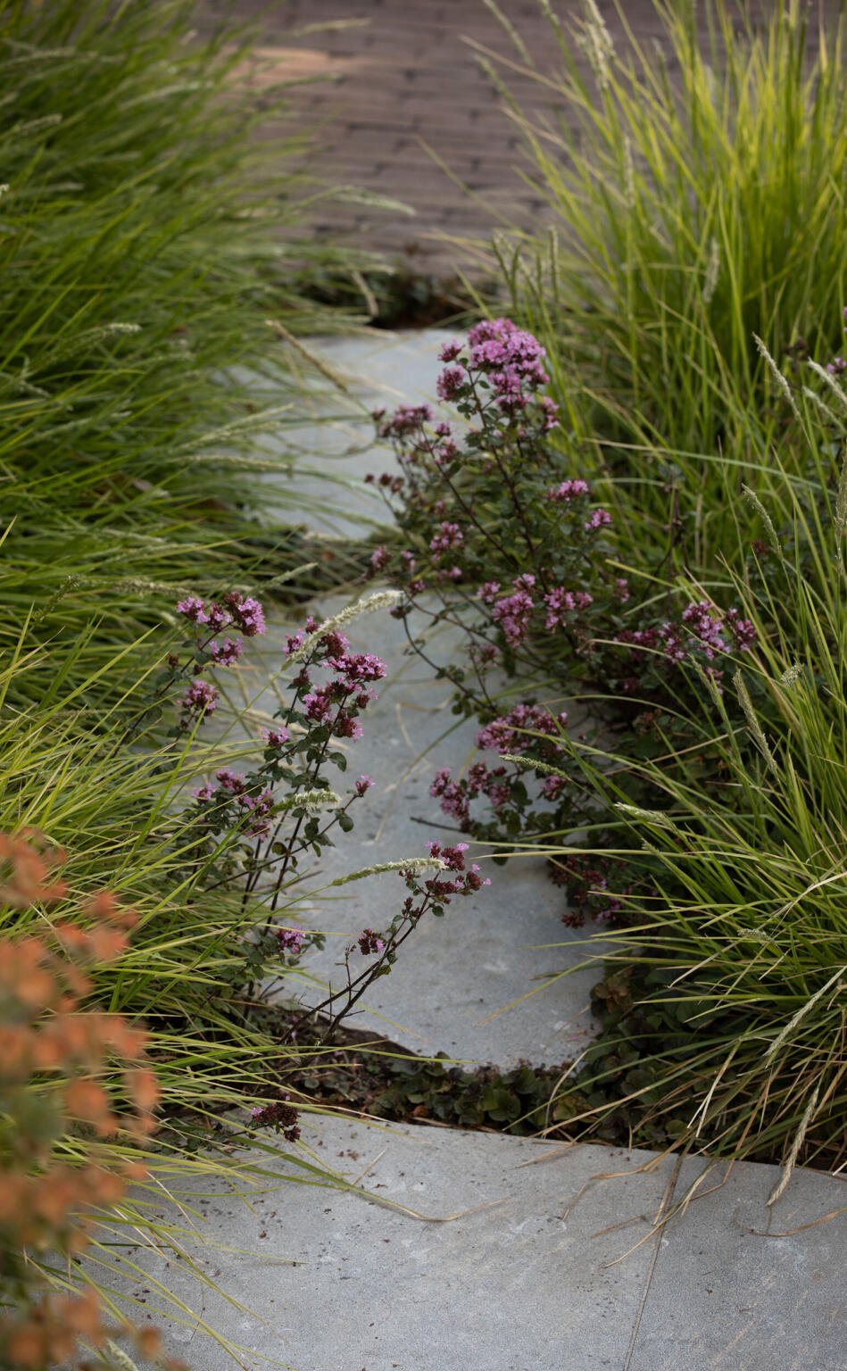 Greenarchitects stefaan willems tuinarchitect oosterzele brabander Eetbare planten in ecologische tuin