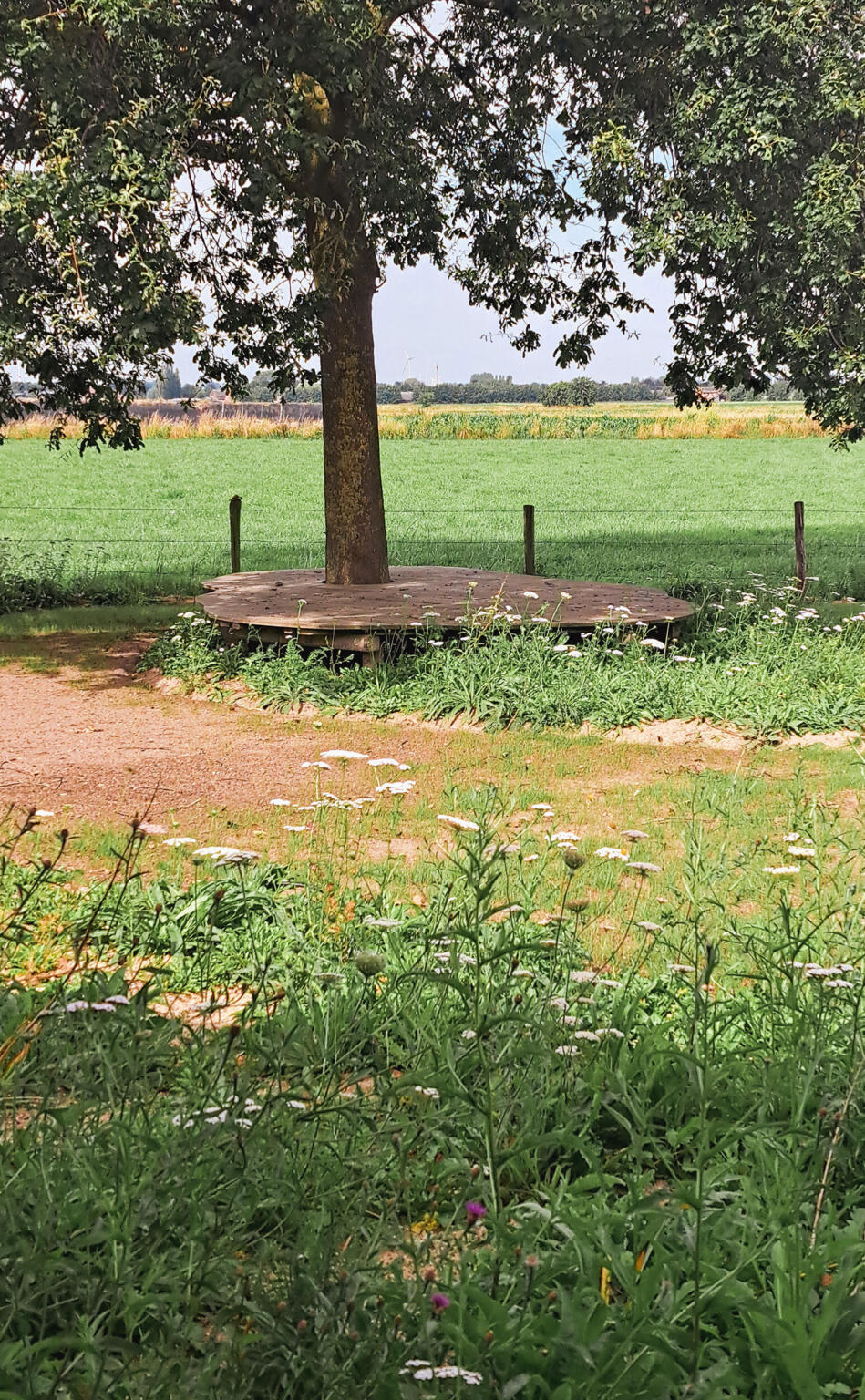 Greenarchitects stefaan willems tuinontwerper houten vlonder ideeën plaatsen biodiverse tuin aanleggen