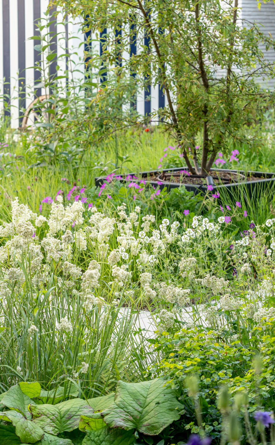 Naturoof wimdewulf fotografie 10