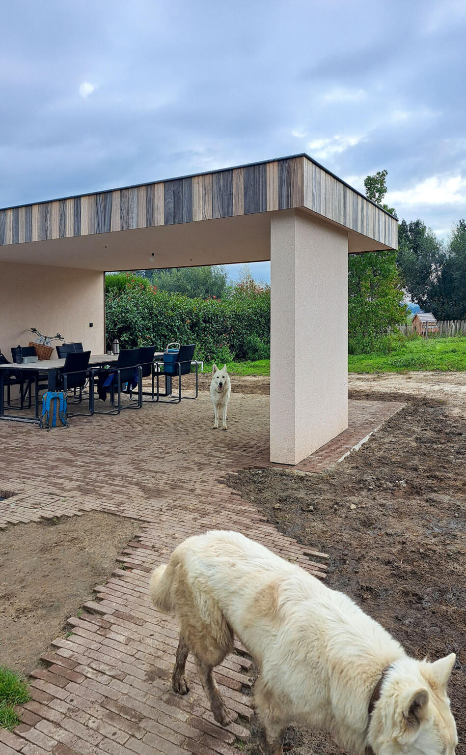 Greenarchitects laarne herne tuinaanleg bijgebouw in padoek crepi poolhouse 1