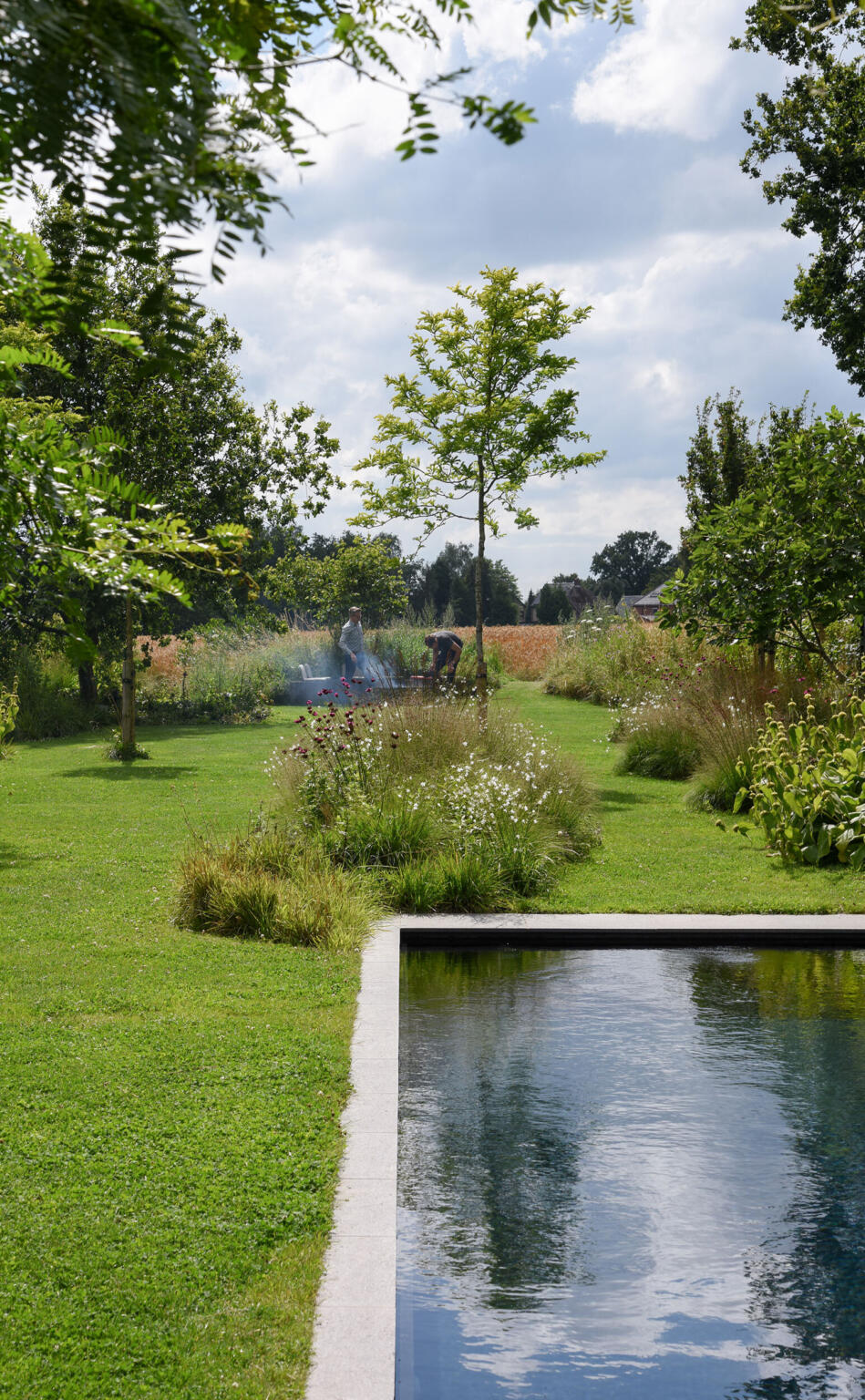 Greenarchitects stefaan willems landschapsarchitect laarne gent natuurlijke eetbare tuin met biozwembad 1