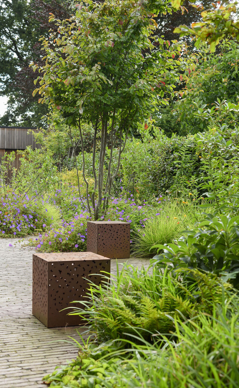 Greenarchitects stefaan willems landschapsarchitect laarne gent natuurlijke tuin met verlichting bluxlighting geranium rozanne 1