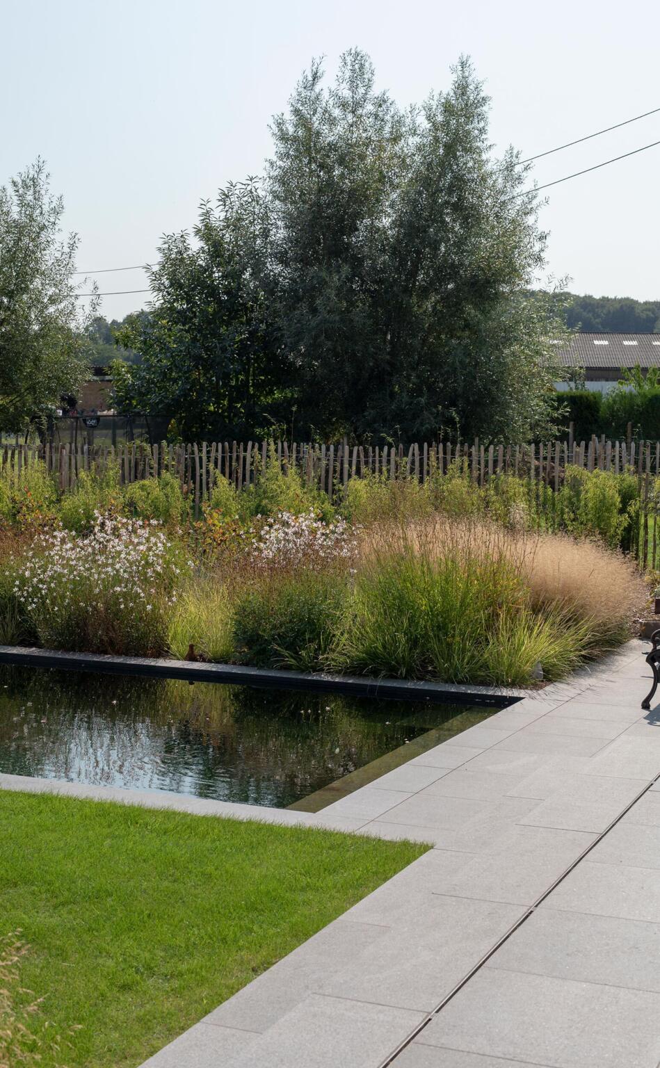 Greenarchitects stefaan willems tuinarchitect ninove zwemvijver terras tegels natuursteen hoogstam boom knotboom salix kastanje afsluiting gaura sesleria aronia bamboe 01