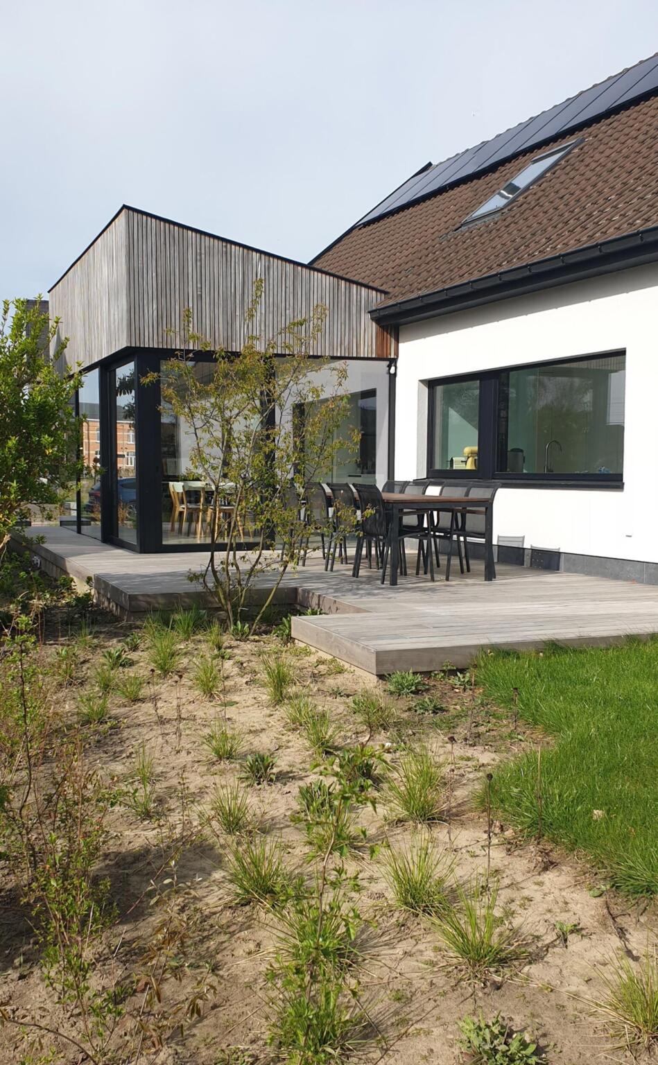 Greenarchitects stefaan willems tuinarchitect serskamp moderne woning crypi padoek terras meerstammig sesleria 01