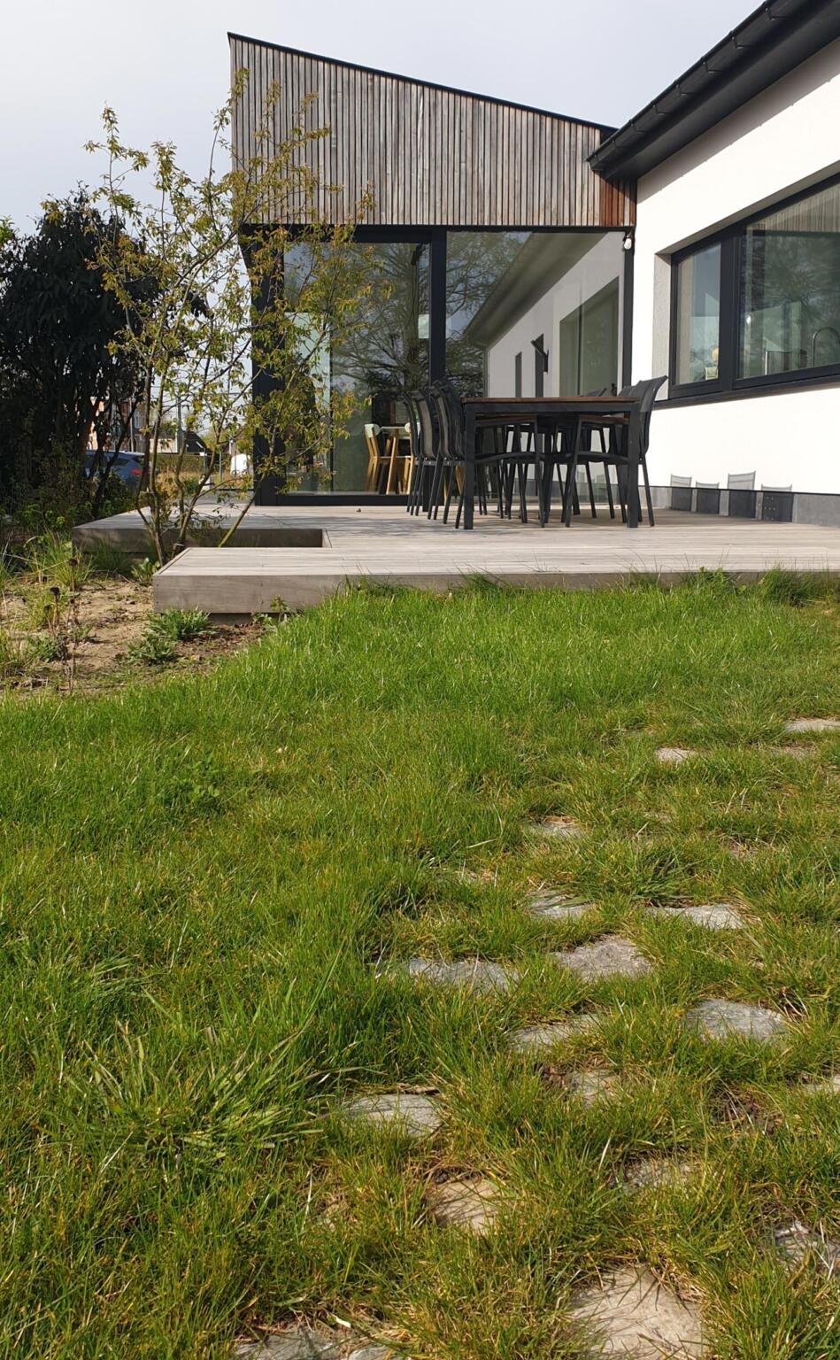 Greenarchitects stefaan willems tuinarchitect serskamp moderne woning crypi padoek terras meerstammig sesleria 02