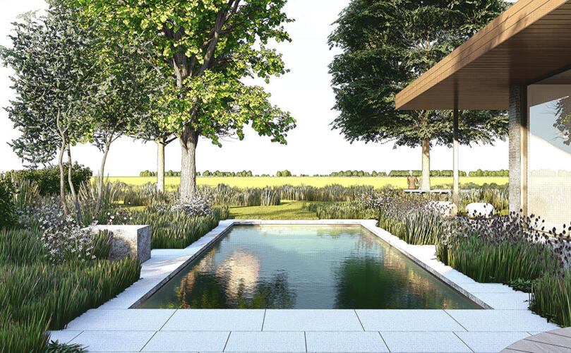 Greenarchitects stefaan willems landschapsarchitect Biozwembad 3 D ontwerp