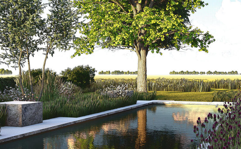 Greenarchitects stefaan willems landschapsarchitect Landschappelijke tuin met biozwembad 3d