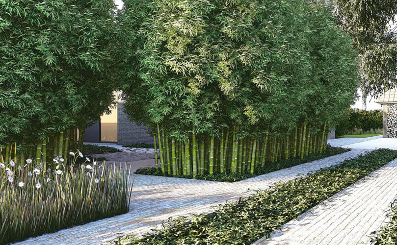 Greenarchitects stefaan willems landschapsarchitect biodiverse tuin met 3d visualisatie en karrespoor