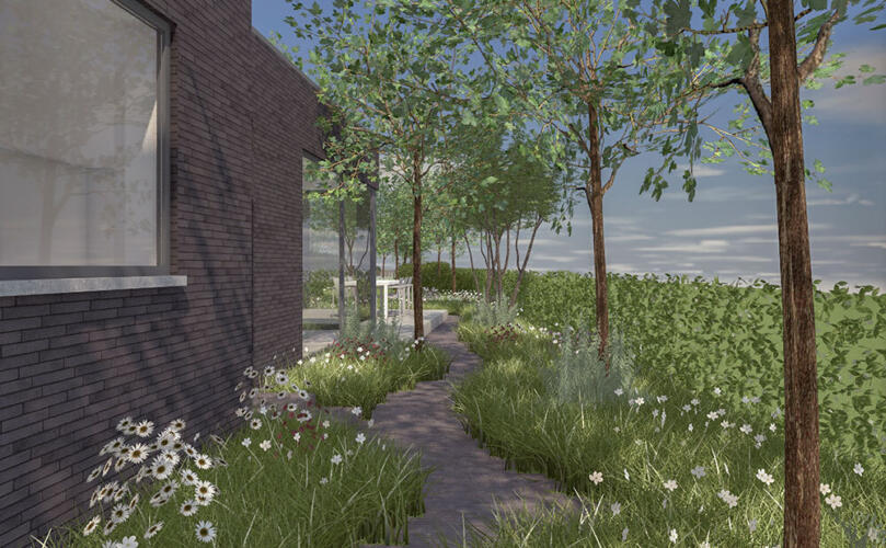 Greenarchitects stefaan willems tuinarchitectuur overschelde oost vlaanderen serskamp tuinontwerp 3 D echinacea