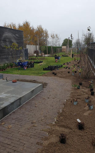 Greenarchitects stefaan willems tuinarchitectuur overschelde oost vlaanderen serskamp werf kleiklinkers uitzetten van planten werfopvolging